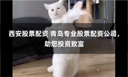 西安股票配资 青岛专业股票配资公司，助您投资致富