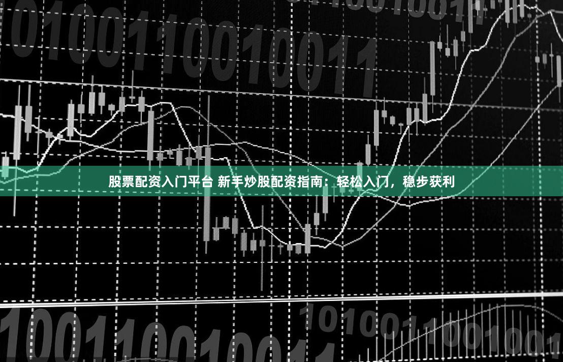 股票配资入门平台 新手炒股配资指南：轻松入门，稳步获利