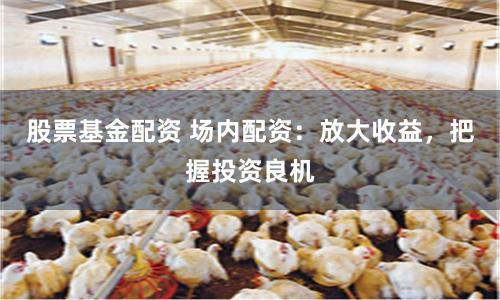 股票基金配资 场内配资：放大收益，把握投资良机